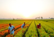 National Farmers’ Day (Virgo Day) – A Tribute to India’s Agricultural Heroes Indian farmers working in the fields with vibrant crops and a sunrise in the background