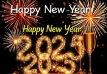 Happy New Year 2025: Wishes, Shayari, Photos, and Everything You Need to Celebrate A festive Happy New Year 2025 image featuring fireworks and champagne glasses, symbolizing a fresh start and celebration.