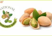 National Pistachio Day (February 26th) Celebrate National Pistachio Day A Nutty Tribute to One of the World’s Favorite Snacks