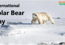 International Polar Bear Day (February 27th) Understanding International Polar Bear Day A Global Awareness Event