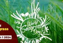 World Seagrass Day 2025 (March 1st) World Seagrass Day The Essential Role of Seagrasses in Marine Ecosystems