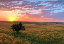 National Kansas Day: Celebrating the Heart of the Sunflower State A stunning view of Kansas' the state's natural beauty on National Kansas Day.
