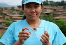World Chagas Disease Day the triatomine bug, alongside a healthcare worker educating the community about the disease On World Chagas Disease Day