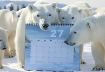 February 27: Special Days, Global Observances & Historical Significance February 27- Polar bear standing on melting ice for International Polar Bear Day